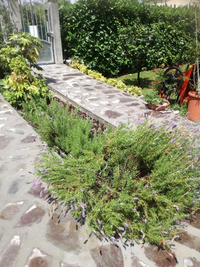 B&B La Damigiana Fioi Piano di Follo Extérieur photo