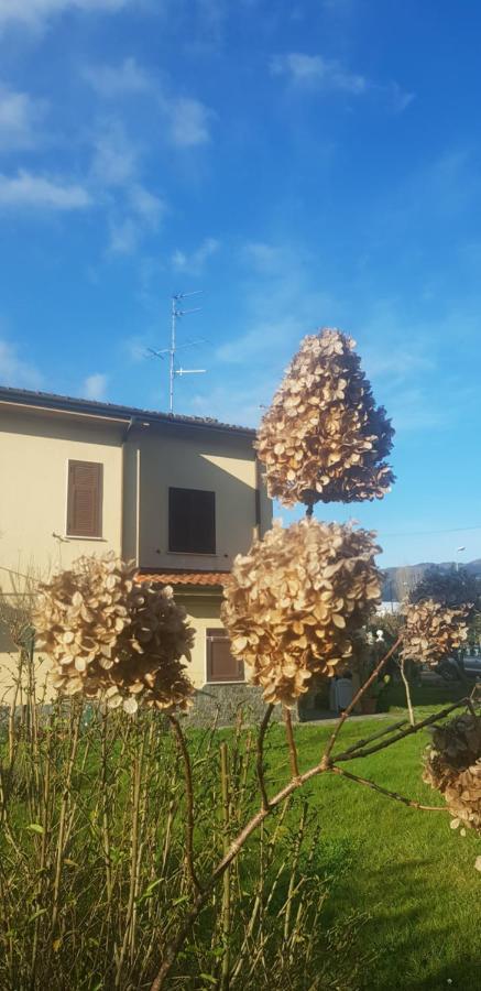 B&B La Damigiana Fioi Piano di Follo Extérieur photo