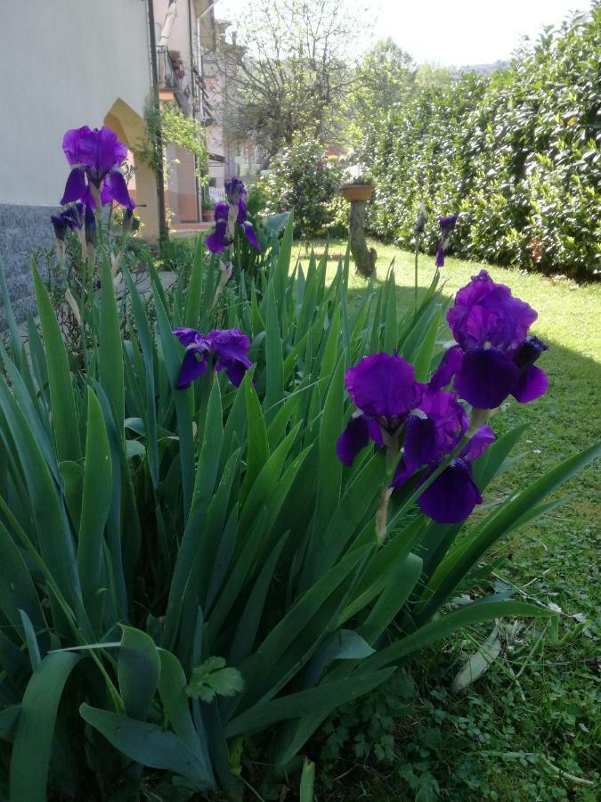 B&B La Damigiana Fioi Piano di Follo Extérieur photo