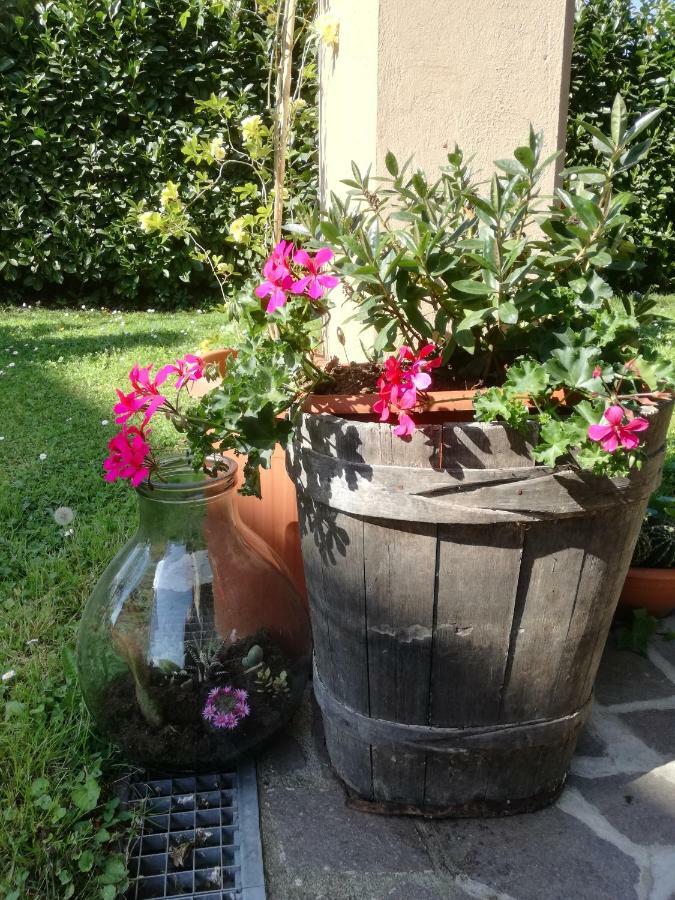 B&B La Damigiana Fioi Piano di Follo Extérieur photo